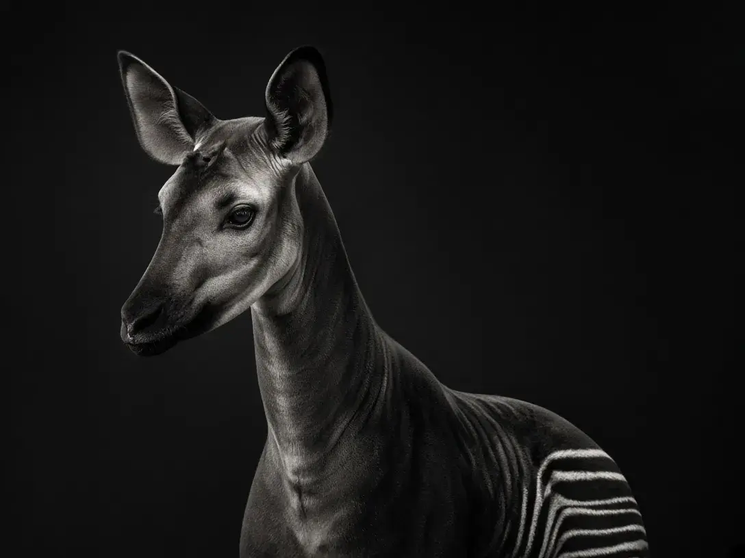 How to Build a Strong Brand Identity From Scratch
